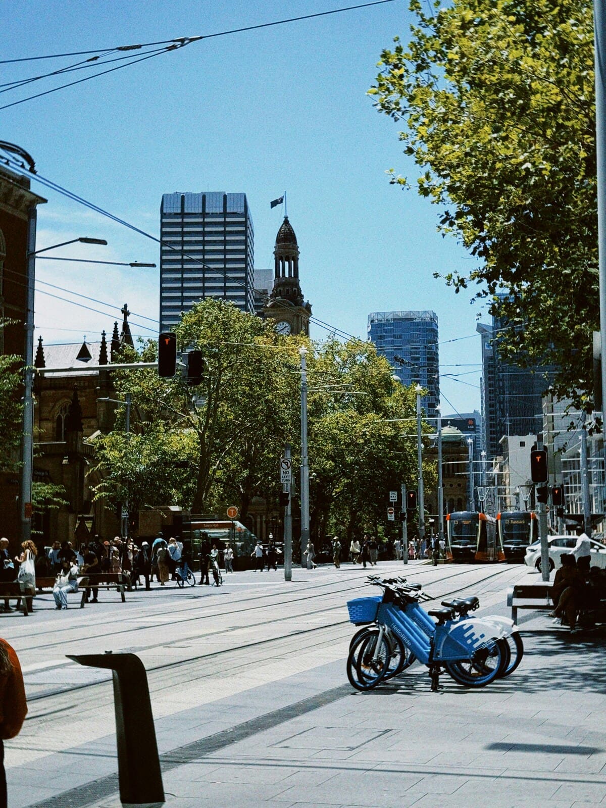 Victorian grandeur emerges from urban foliage.