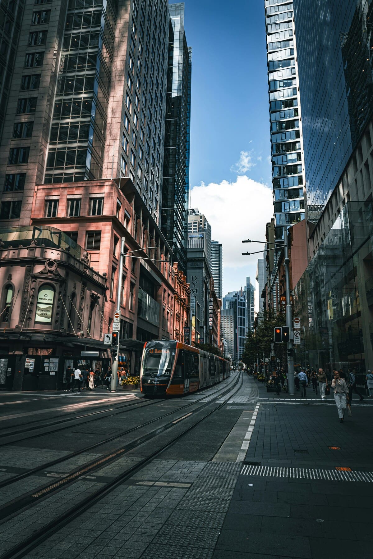 Geometry creates its own sanctuary of shade.